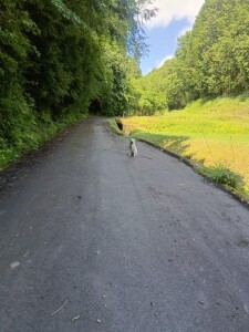 IMG_20260610_093908.jpg