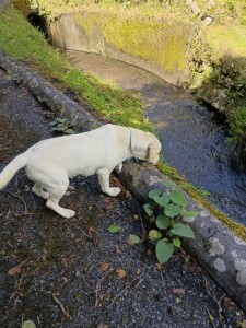 IMG_20260610_094151.jpg