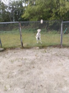 IMG_20260616_052831.jpg