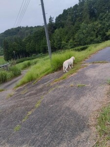 IMG_20260620_054902.jpg
