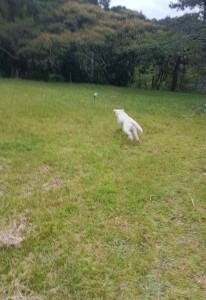 IMG_20260708_055512_1.jpg