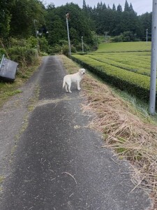 IMG_20260708_061723.jpg