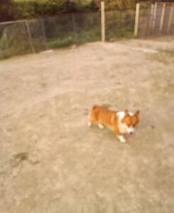 IMG_20260716_053922_1.jpg