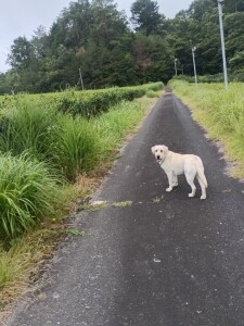 IMG_20260720_062205_1.jpg