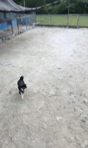 IMG_20260721_053813_1.jpg