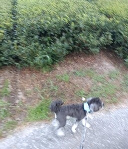 IMG_20260725_054428_1.jpg