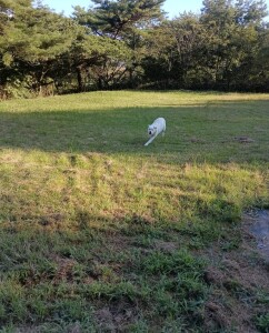 IMG_20260825_165000_1.jpg