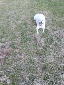 IMG_20260825_165132_1.jpg