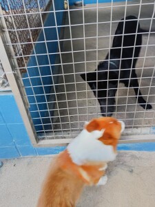 IMG_20260826_170216.jpg