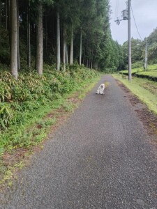 IMG_20260829_065926.jpg