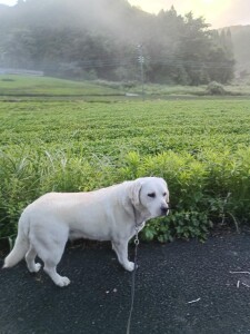 IMG_20260902_061454.jpg