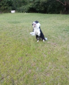 IMG_20260912_163617_1.jpg