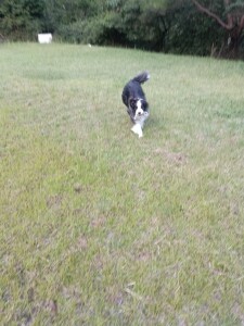 IMG_20260912_163634.jpg