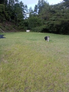 IMG_20260912_163738.jpg