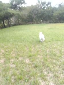 IMG_20260912_164053_1.jpg