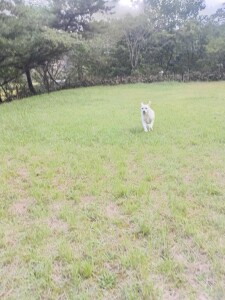 IMG_20260912_164100.jpg