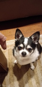 IMG_20261023_195629.jpg